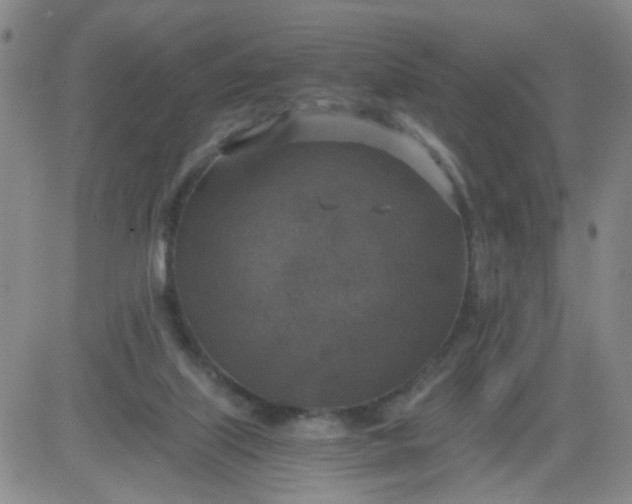 X0000083980067200703021923