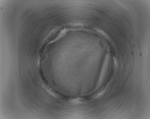 X0000083980072200703021924