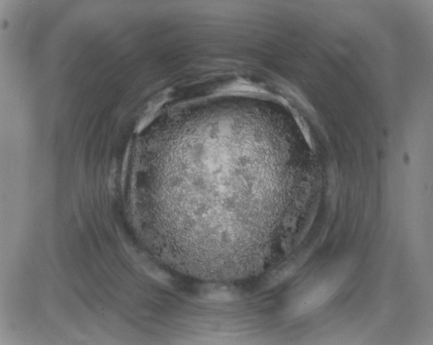 X0000083980073200703021924