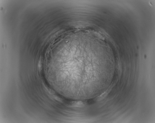 X0000083980074200703021924