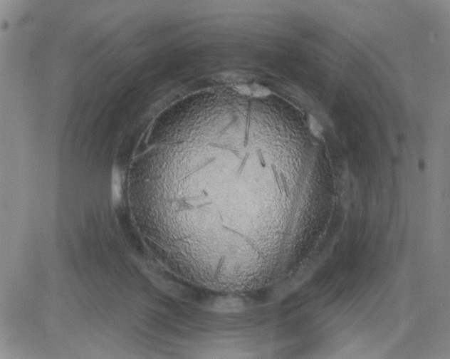 X0000083980075200703021924