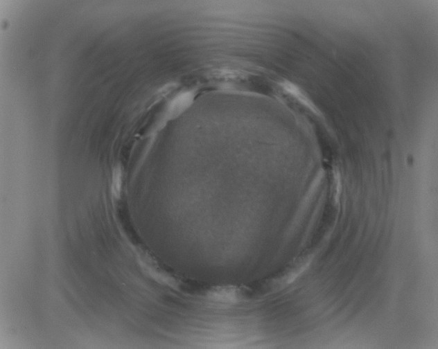 X0000083980076200703021924