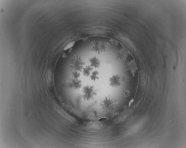 X0000083980077200703021924