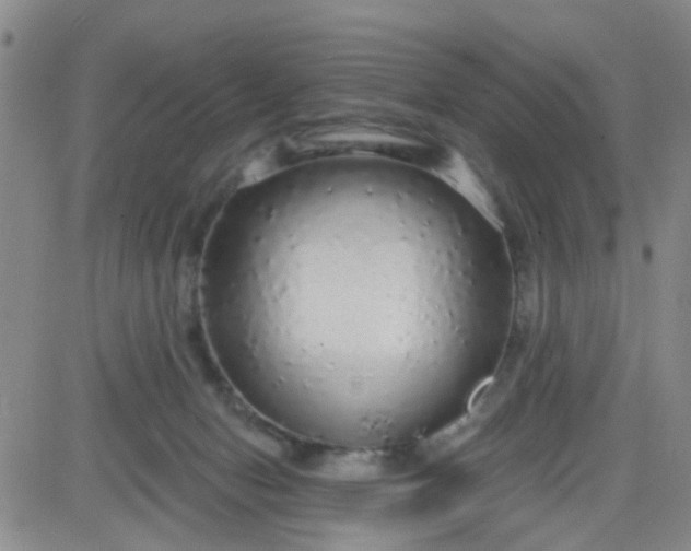 X0000083980078200703021924