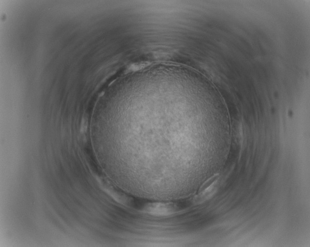 X0000083980082200703021924