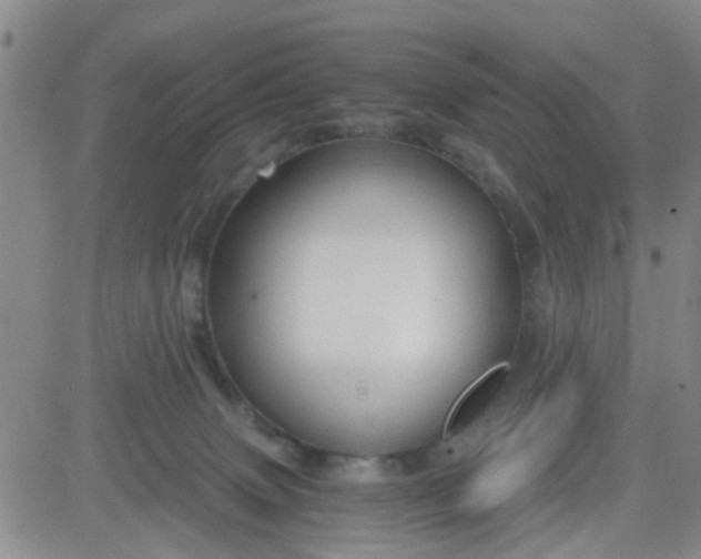 X0000083980083200703021924