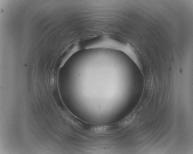 X0000083980084200703021924