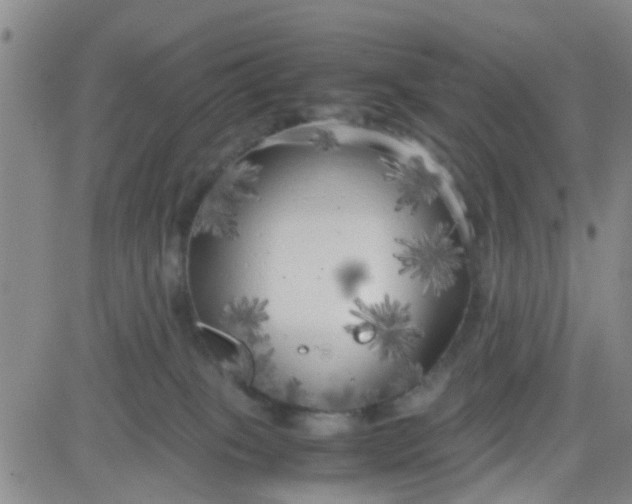 X0000083980085200703021924