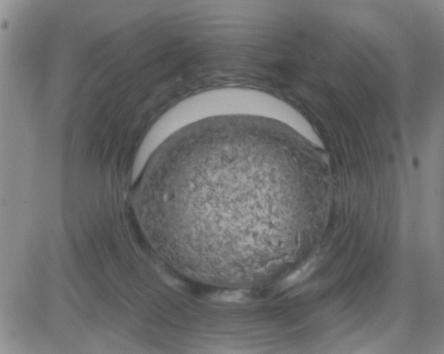 X0000083980086200703021924