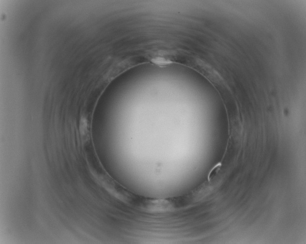 X0000083980087200703021924