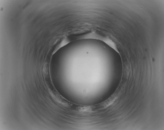 X0000083980088200703021924