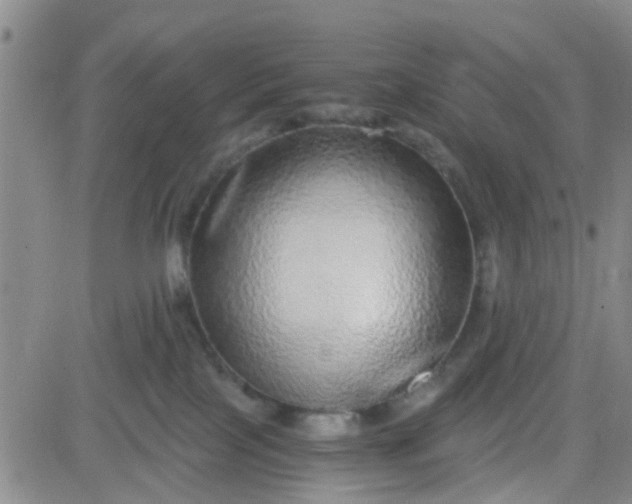 X0000083980089200703021924