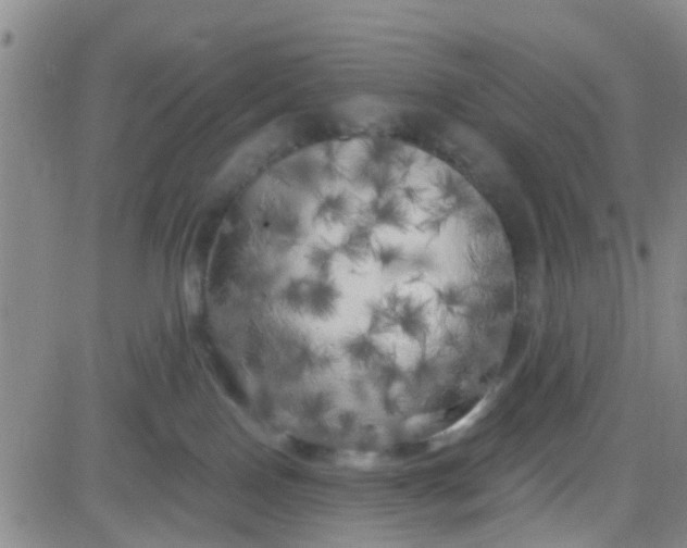 X0000083980090200703021924