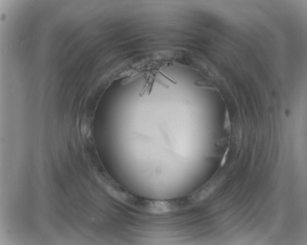 X0000083980091200703021924