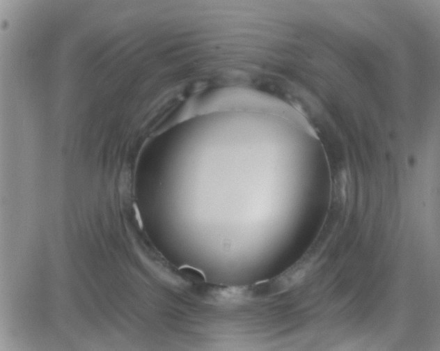 X0000083980092200703021924