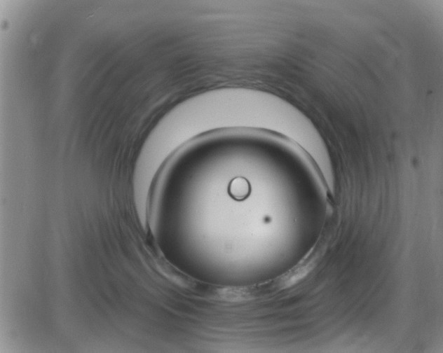 X0000083980095200703021924