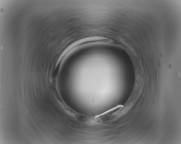 X0000083980096200703021924