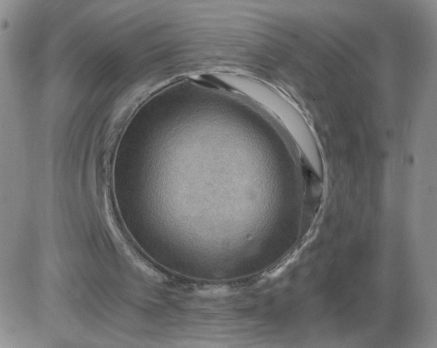 X0000083980097200703021923