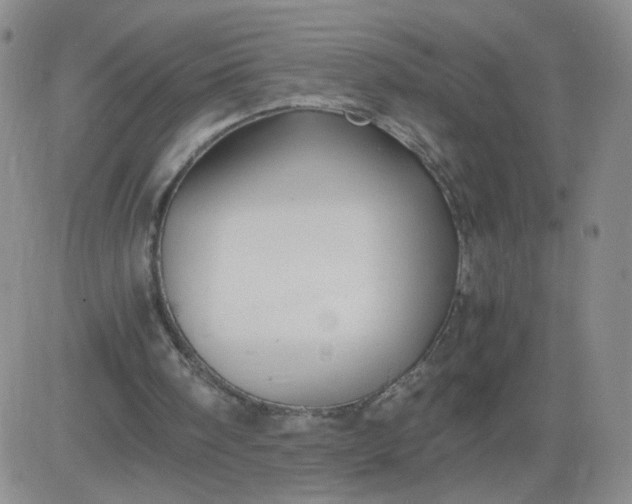 X0000083980098200703021923