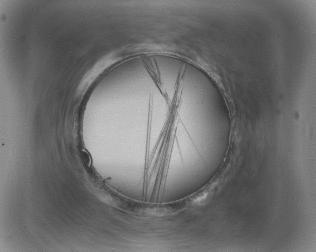 X0000083980103200703021923