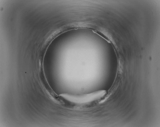 X0000083980109200703021923