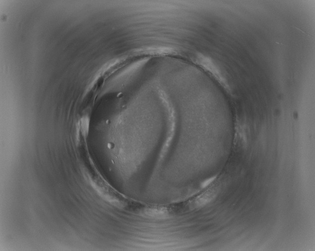 X0000083980110200703021923