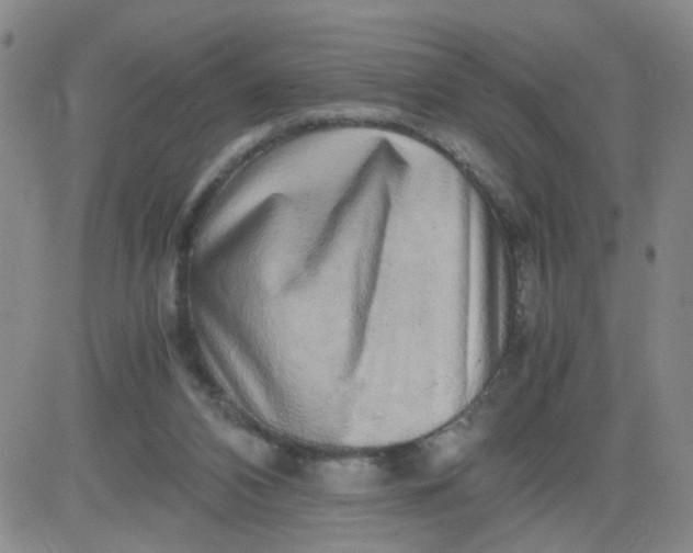 X0000083980112200703021923