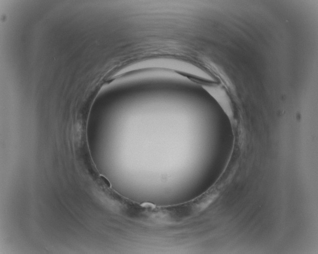 X0000083980113200703021923