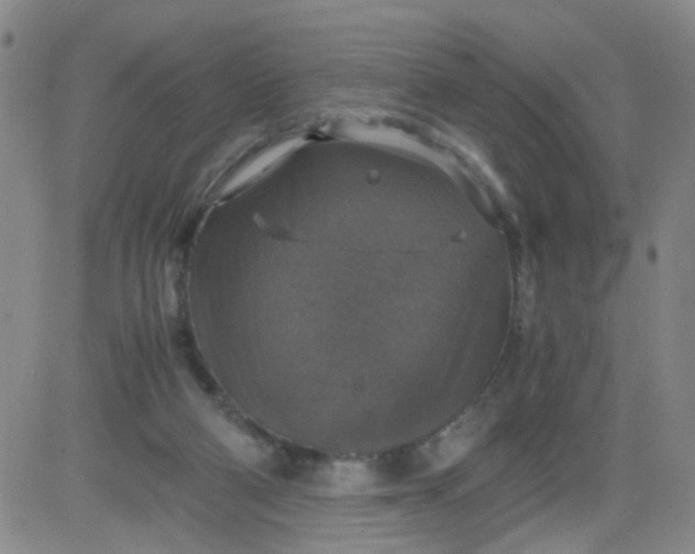 X0000083980114200703021923