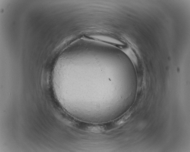 X0000083980115200703021923