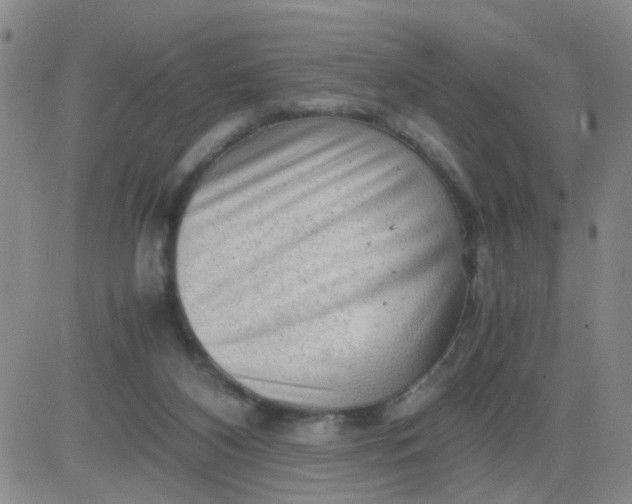 X0000083980116200703021923