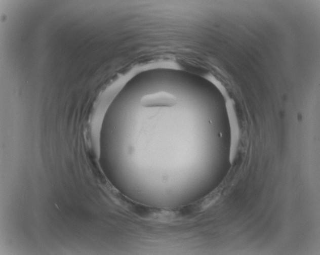 X0000083980125200703021923