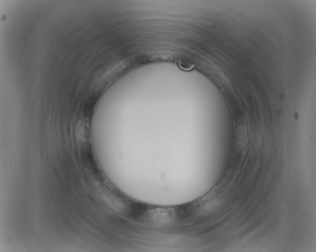 X0000083980126200703021923