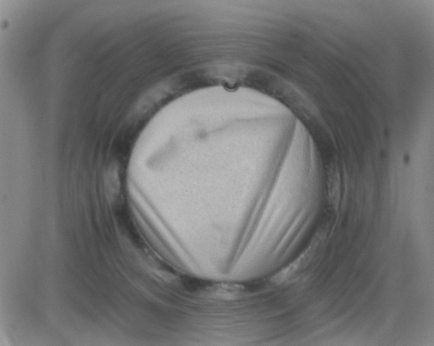 X0000083980128200703021923