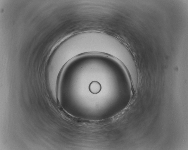 X0000083980146200703021921