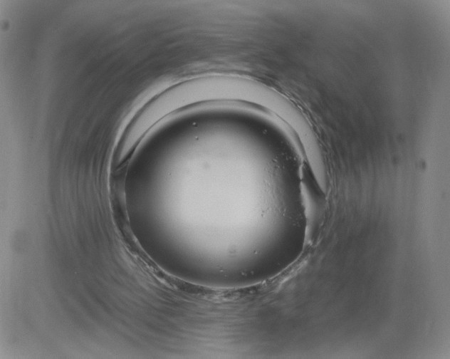 X0000083980148200703021921