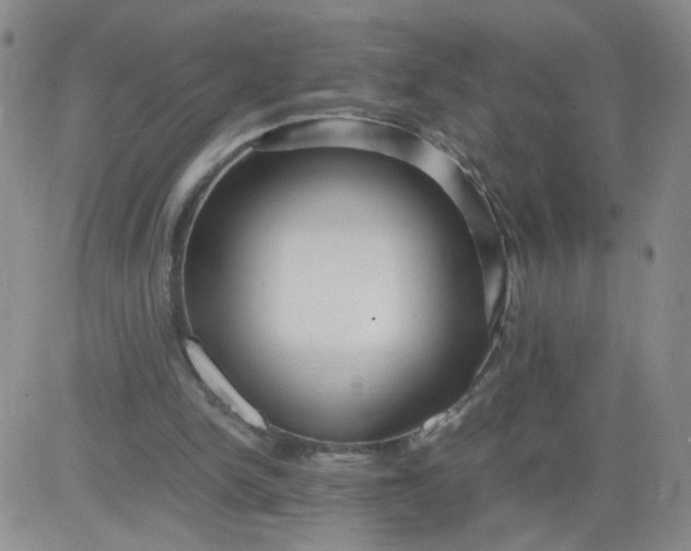 X0000083980150200703021921