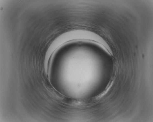 X0000083980174200703021922