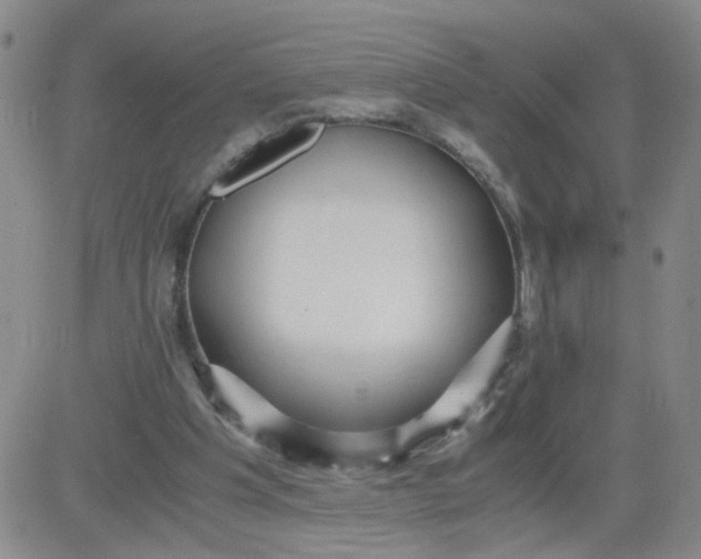 X0000083980201200703021921
