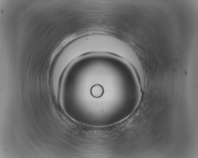 X0000083980244200703021920