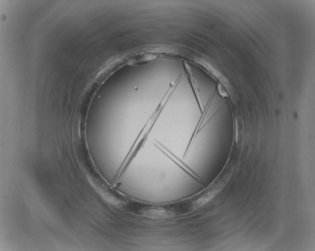 X0000083980253200703021920