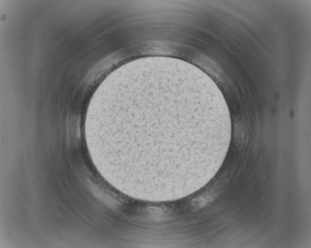X0000083980302200703021919