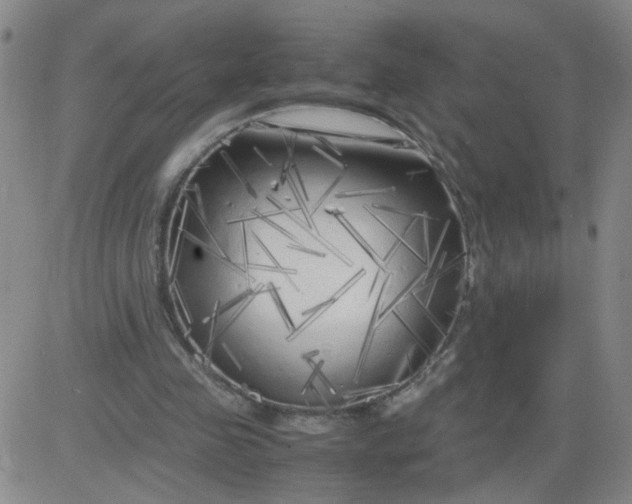 X0000083980341200703021918