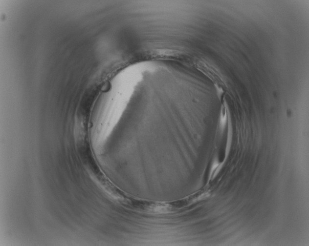 X0000083980410200703021917