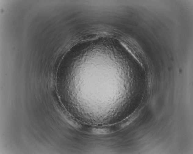 X0000083980457200703021917