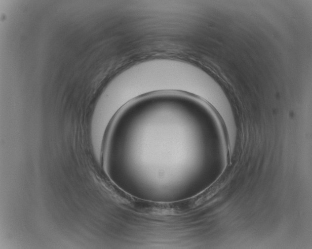 X0000083980458200703021917