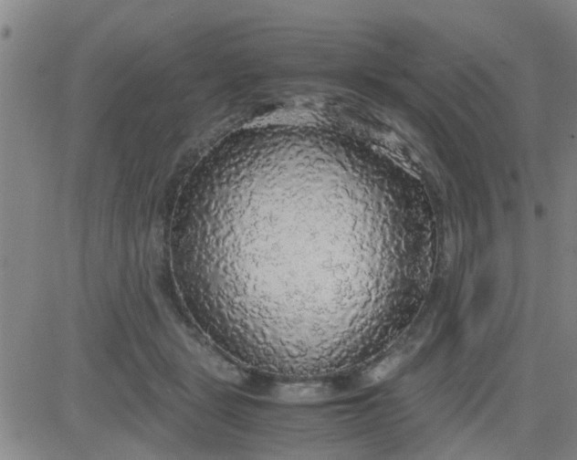 X0000083980461200703021917