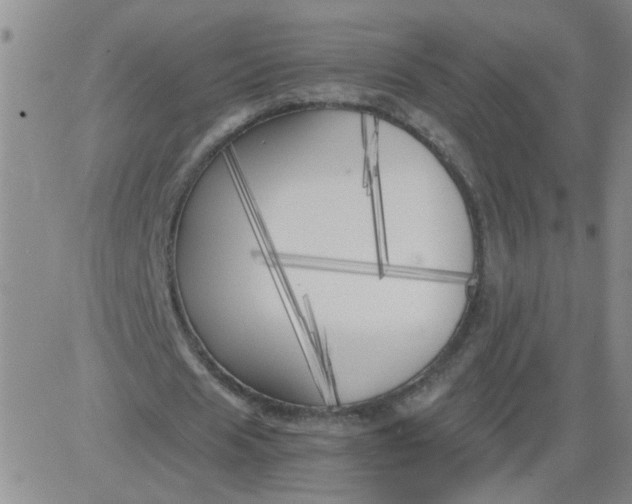 X0000083980625200703021913