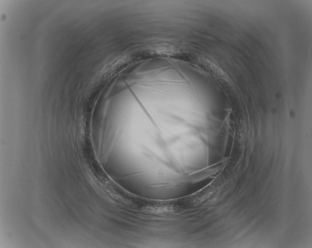 X0000083980639200703021913