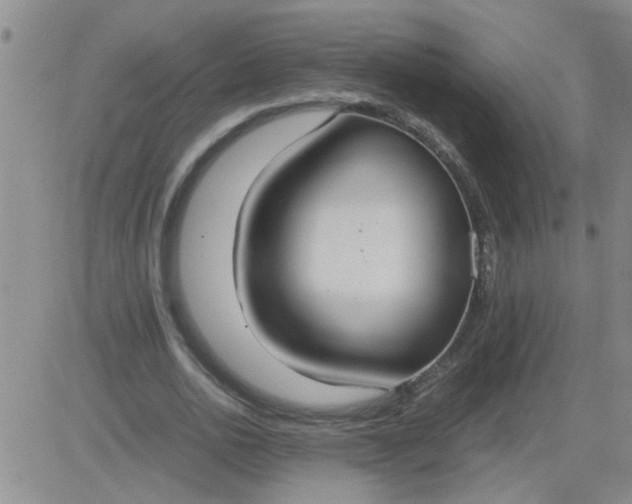X0000083980726200703021911